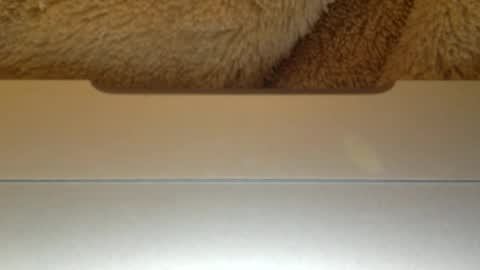 Snapshot of mr_himm chatting on April 2026 12:56:01 AM mr_himm online show from April 2026 12:56:01 AM