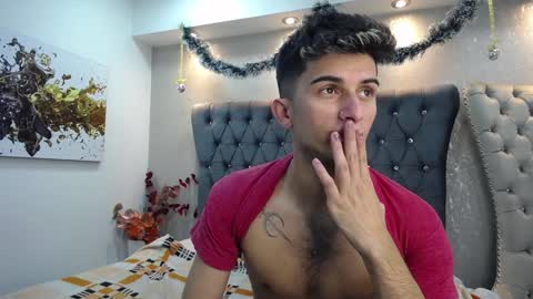 Snapshot of mr_williseo chatting on December 2024 07:38:02 PM williseo online show from December 2024 07:38:02 PM