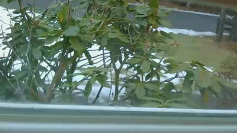 mrbrigggs online show from January 2026 12:11:01 PM