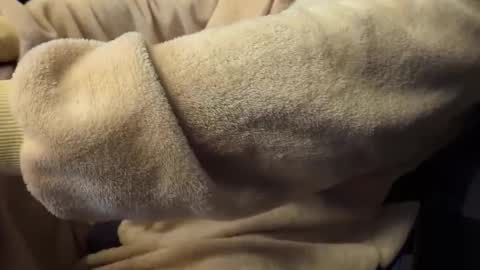 Snapshot of mrdelapampa chatting on November 2025 11:55:02 AM mrdelapampa online show from November 2025 11:55:02 AM