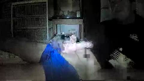 mrgray11xxx aussie online show from December 2024 05:01:01 PM