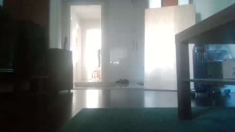 Nikola online show from February 2026 09:23:01 AM