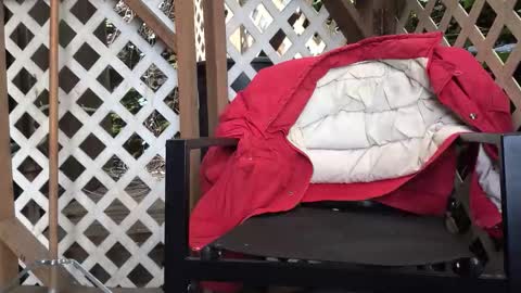 mrjohnlbrown online show from March 2026 07:11:01 PM