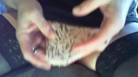 mojo online show from December 2024 11:38:02 PM