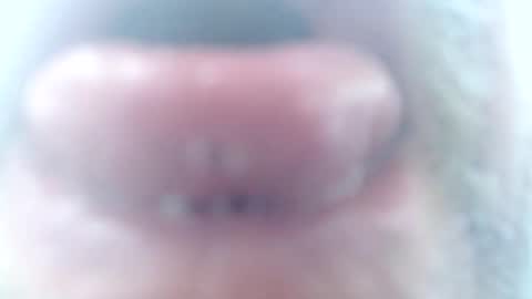 mrtease5 online show from February 2026 11:31:01 AM