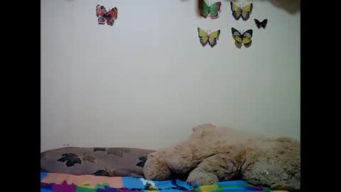 ms_teery online show from December 2024 12:30:01 PM