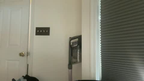 msduss351 online show from July 2026 04:58:01 PM