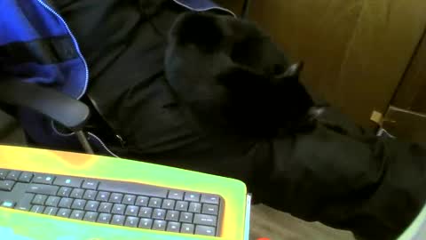 muller520 online show from January 2025 03:59:02 PM