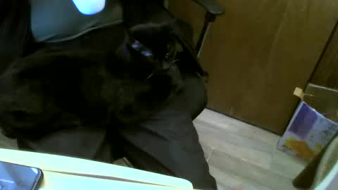 muller520 online show from January 2025 06:14:01 PM