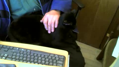 muller520 online show from February 2025 04:50:01 PM