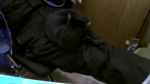 muller520 online show from February 2025 03:41:02 PM