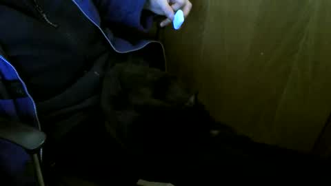 muller520 online show from January 2026 04:31:02 PM