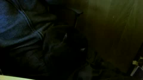 muller520 online show from March 2026 05:16:01 PM