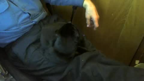 muller520 online show from April 2026 04:43:02 PM