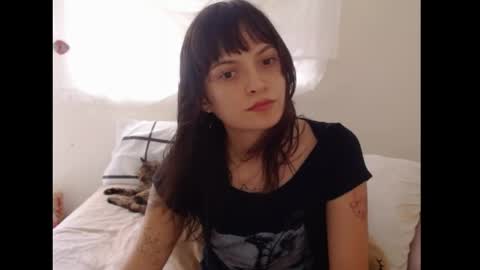   online show from April 2026 07:33:02 PM