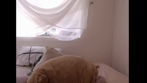   online show from April 2026 06:42:01 PM