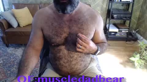 Snapshot of muscledadbear chatting on September 2025 03:00:02 PM Jordan El Din online show from September 2025 03:00:02 PM