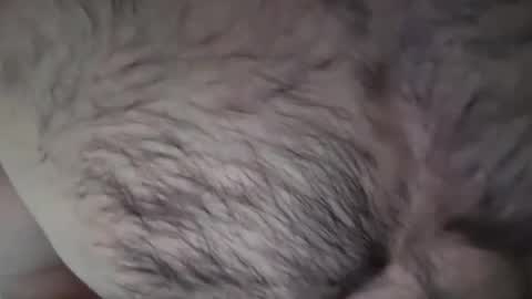 musclehair3 online show from March 2025 08:23:02 AM