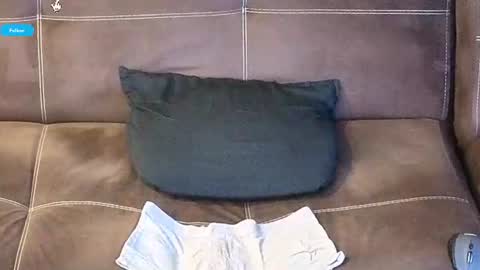Snapshot of mushroomcouch chatting on June 2026 09:17:02 PM mushroomcouch online show from June 2026 09:17:02 PM