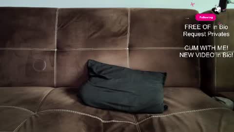 Snapshot of mushroomcouch chatting on June 2026 07:46:01 AM mushroomcouch online show from June 2026 07:46:01 AM