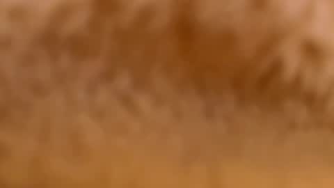 Mya-be Yours P online show from February 2025 09:33:01 PM