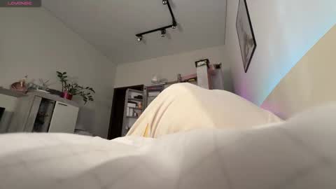 Phoenix online show from October 2025 06:00:01 AM