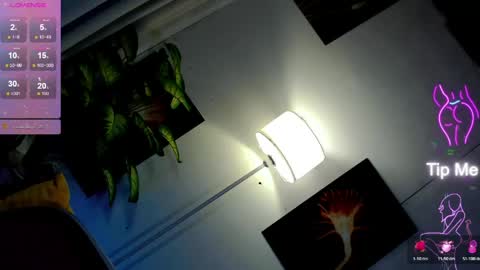 Snapshot of mysterious_olivia chatting on May 2026 07:44:02 PM Olivia online show from May 2026 07:44:02 PM