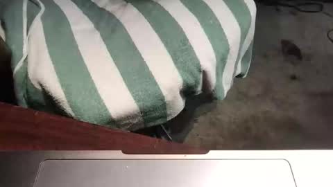 Snapshot of mythickness chatting on January 2025 01:56:01 AM mythickness online show from January 2025 01:56:01 AM