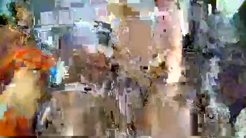 nafertiti online show from November 2025 04:40:01 PM