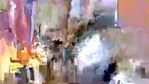 nafertiti online show from November 2025 03:49:01 AM