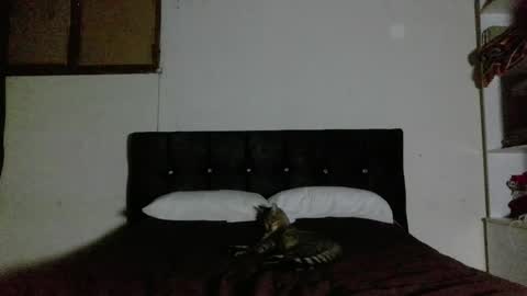 Snapshot of nahomy_oxox chatting on April 2026 02:23:02 AM Nahomy online show from April 2026 02:23:02 AM