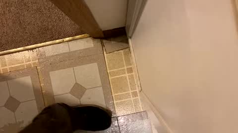 nairda2senoniuq online show from December 2024 12:08:01 AM