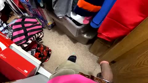 nairda2senoniuq online show from December 2024 03:53:01 AM