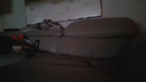 nassobout online show from December 2024 06:55:02 AM