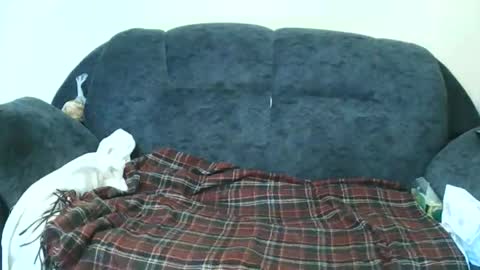 nastylily1 online show from January 2026 07:02:01 AM