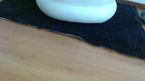 nath_dawson online show from January 2025 02:30:02 PM