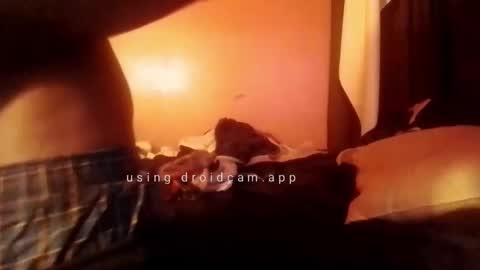 nathanbutler0 online show from October 2025 05:52:01 AM