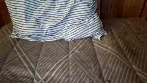 nativejoker_1995 online show from October 2025 09:13:02 PM