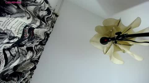 NATTA online show from February 2025 08:37:01 PM