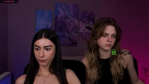 Naya online show from February 2026 10:19:01 AM