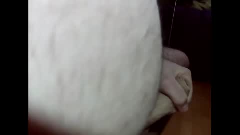 ncbncb online show from March 2025 08:21:02 PM