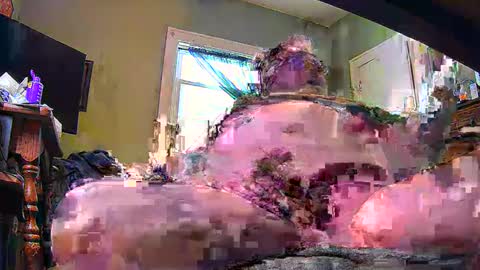 Snapshot of ndcowpoke chatting on February 2025 09:46:02 PM ND Cowpoke online show from February 2025 09:46:02 PM