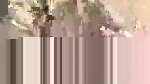 ndsckd online show from September 2025 11:54:01 AM