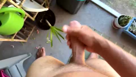 nellyd332169 online show from January 2026 07:16:01 PM