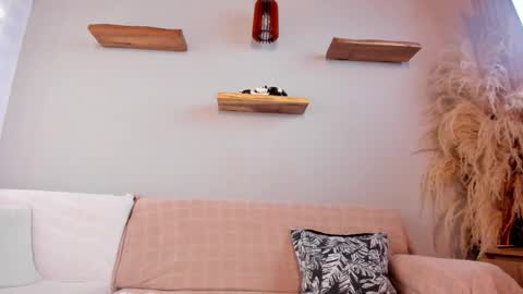 Jordan online show from March 2026 12:11:01 PM