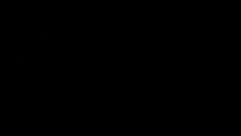 never_forget_this online show from February 2026 02:41:01 AM