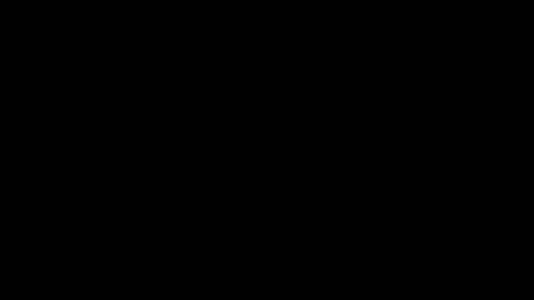 never_forget_this online show from February 2026 05:42:02 PM