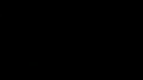 never_forget_this online show from May 2026 12:12:01 PM