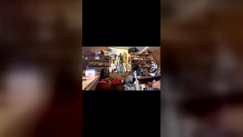 neversaynevrrr online show from February 2026 07:18:01 PM