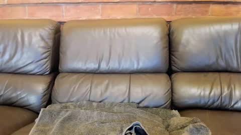 Matilda online show from December 2025 11:52:02 AM